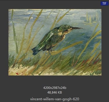 Vincent van Gogh