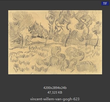 Vincent van Gogh