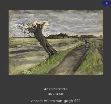 Vincent van Gogh