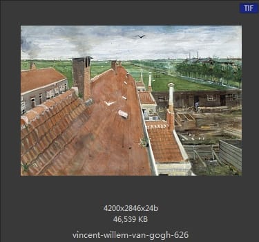 Vincent van Gogh