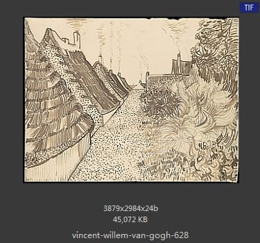 Vincent van Gogh