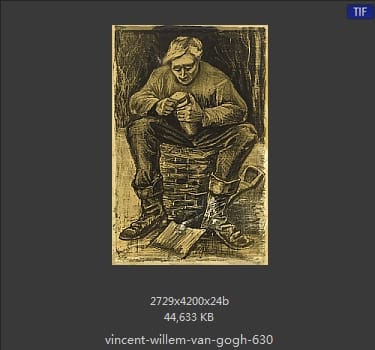 Vincent van Gogh