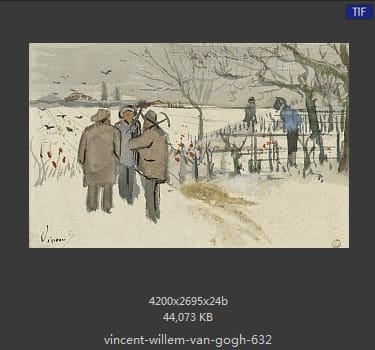 Vincent van Gogh