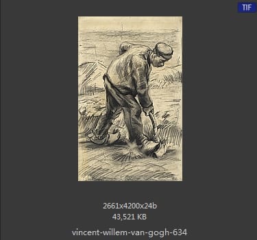 Vincent van Gogh