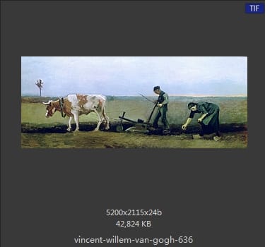 Vincent van Gogh
