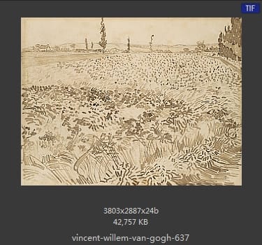 Vincent van Gogh