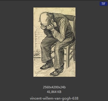 Vincent van Gogh