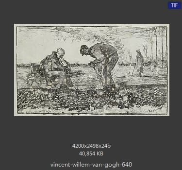 Vincent van Gogh