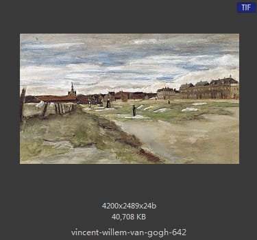 Vincent van Gogh