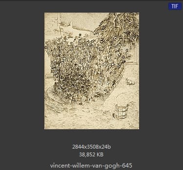 Vincent van Gogh
