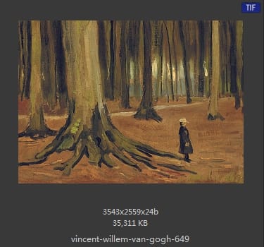 Vincent van Gogh