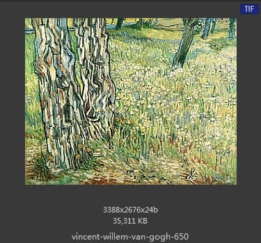 Vincent van Gogh