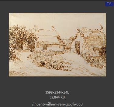 Vincent van Gogh