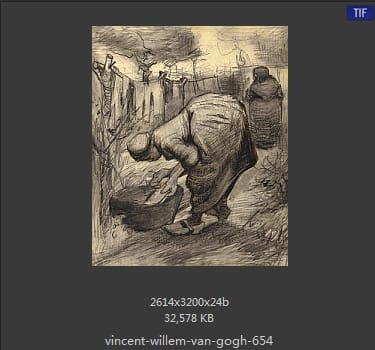 Vincent van Gogh