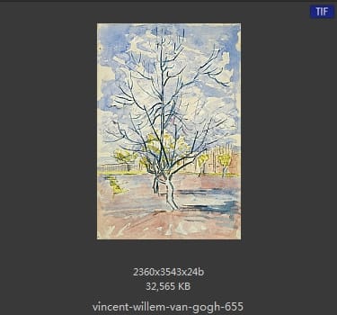 Vincent van Gogh