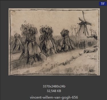 Vincent van Gogh