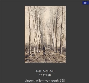 Vincent van Gogh
