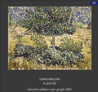 Vincent van Gogh