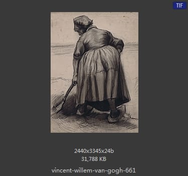 Vincent van Gogh