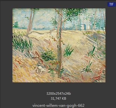 Vincent van Gogh