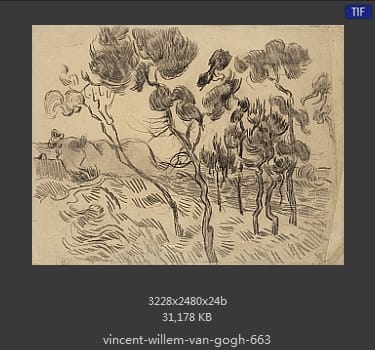 Vincent van Gogh