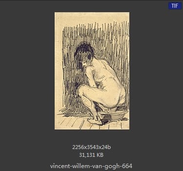 Vincent van Gogh