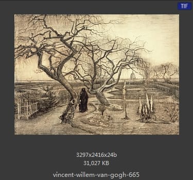 Vincent van Gogh