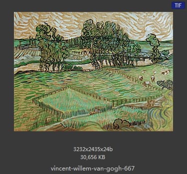 Vincent van Gogh