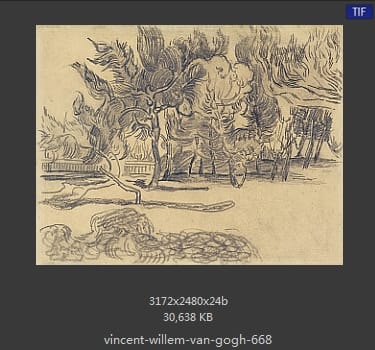 Vincent van Gogh