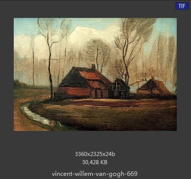 Vincent van Gogh