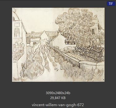 Vincent van Gogh