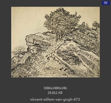 Vincent van Gogh