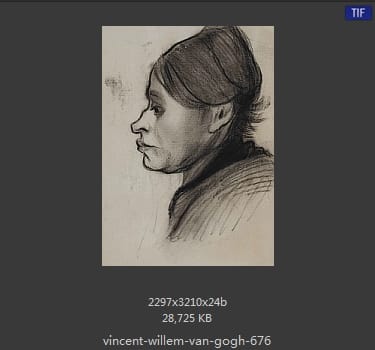 Vincent van Gogh