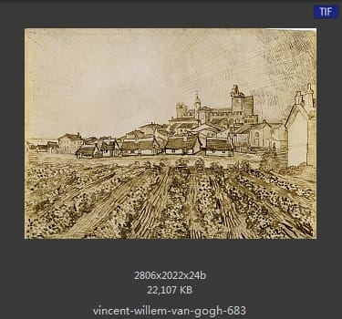 Vincent van Gogh