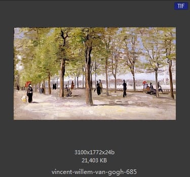 Vincent van Gogh