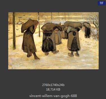 Vincent van Gogh