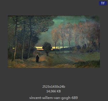 Vincent van Gogh