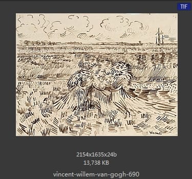 Vincent van Gogh