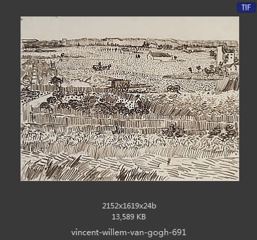 Vincent van Gogh
