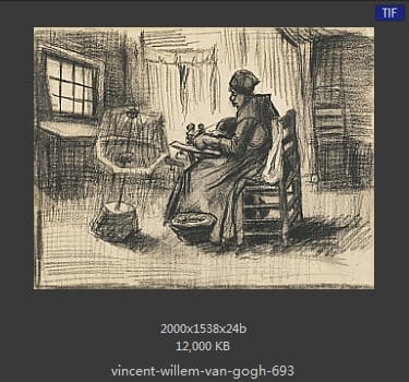 Vincent van Gogh