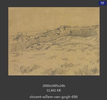 Vincent van Gogh
