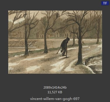Vincent van Gogh
