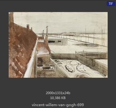 Vincent van Gogh