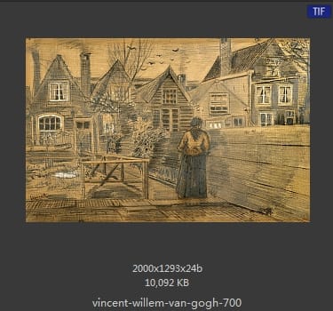 Vincent van Gogh