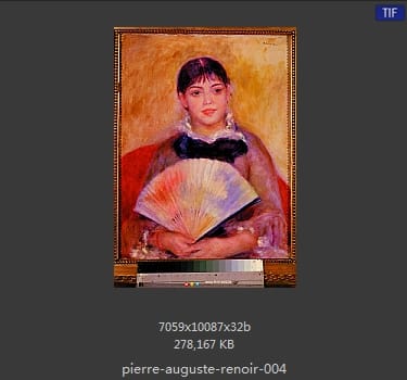 皮耶尔·奥古斯特·雷诺阿