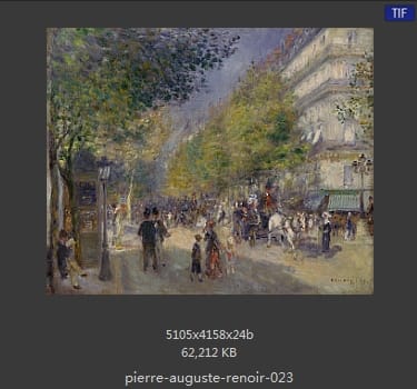 皮耶尔·奥古斯特·雷诺阿