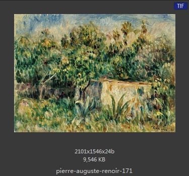 皮耶尔·奥古斯特·雷诺阿