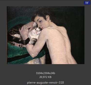 皮耶尔·奥古斯特·雷诺阿