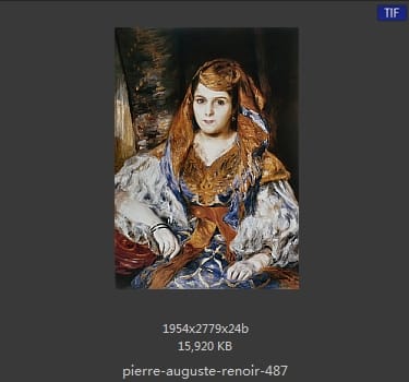 皮耶尔·奥古斯特·雷诺阿