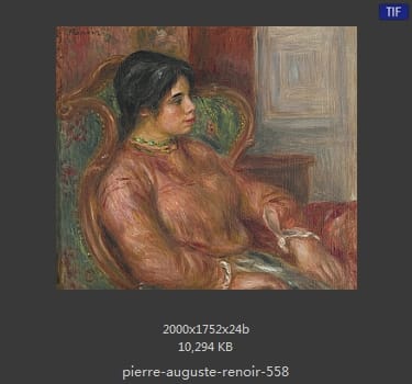 皮耶尔·奥古斯特·雷诺阿